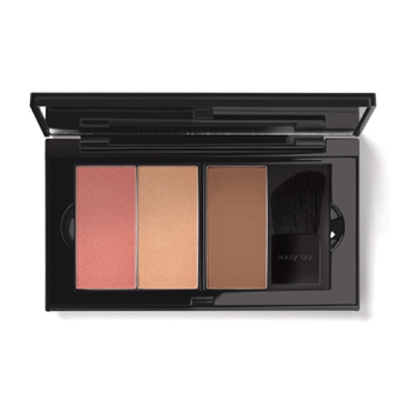 Mary Kay Perfect Pallette - Picture 4 of 4